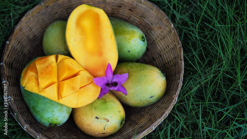 Mango tropical fruit in wooden basket put on green leaf background