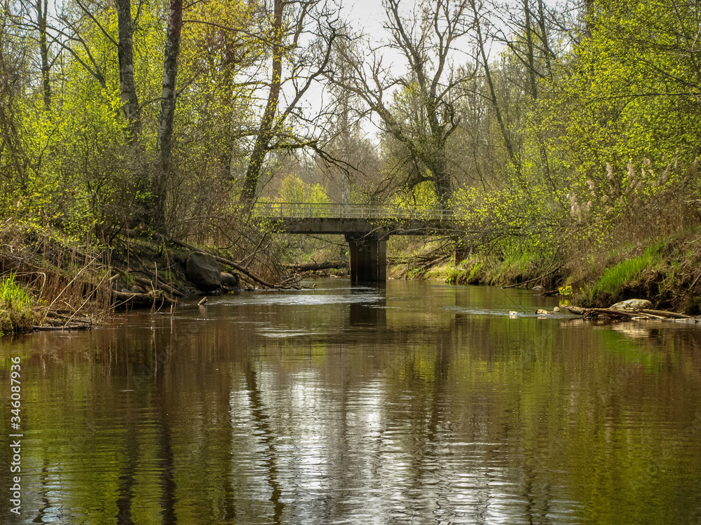 a small wild river, the first spring greenery, the silhouette of the bridge in the background, reflections in the river water a small wild river, the first spring greenery, the silhouette of the bridge in the background, reflections in the river water