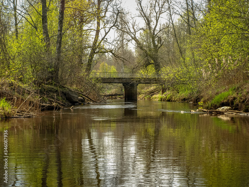 a small wild river, the first spring greenery, the silhouette of the bridge in the background, reflections in the river water