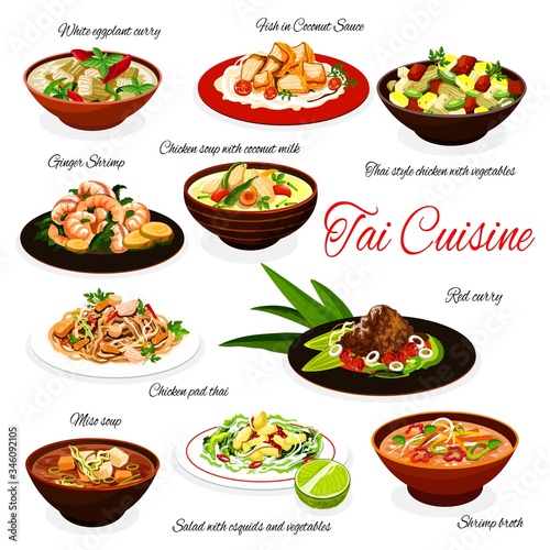 Thai cuisine meals, traditional Thailand chicken soup with coconut milk, meat with vegetables, ginger shrimps in red curry, miso soup and white eggplant curry. Vector restaurant menu dishes