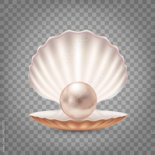 Open seashell with a pearl inside. Vector icon