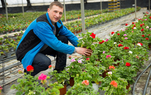 Portrait of professional gardener enjoying his favourite pastime of flowers cultivation in glasshouse © JackF