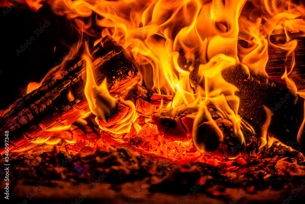 Obraz premium A few birch logs burning in the fireplace