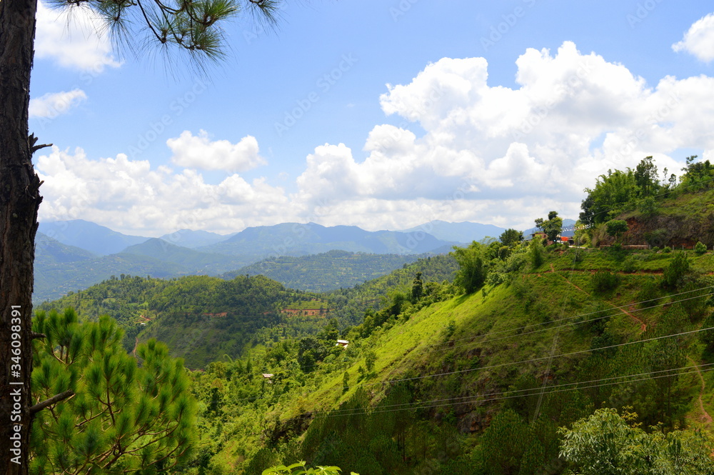 Naklejka premium Beautiful landscape with hills, clouds, and pine tree