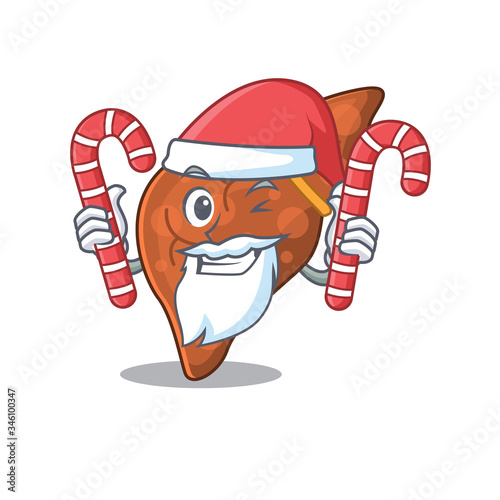 Friendly human fibrosis liver in Santa Cartoon character holds Christmas candies