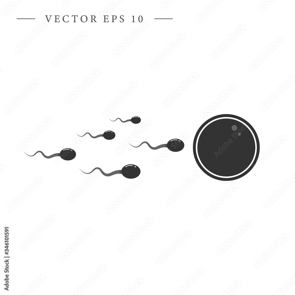 Sperm, egg vector icon. Fertilization symbol. Isolated vector illustration.
