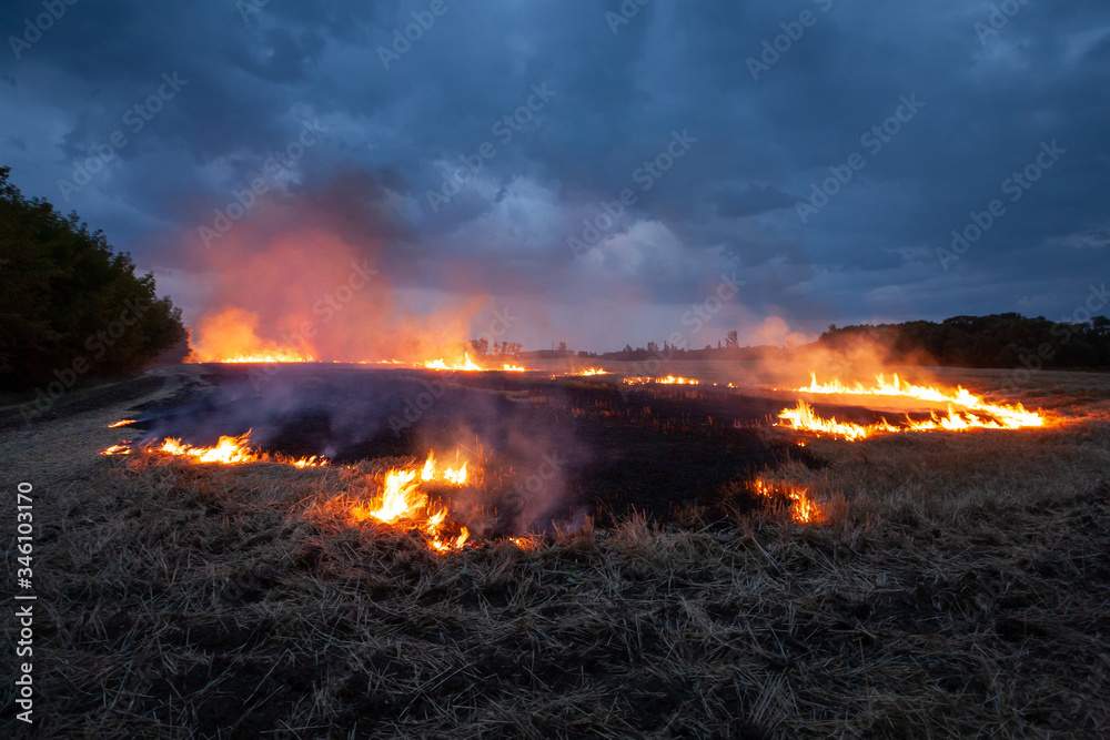 Evening fire on a field with dry grass. Dry wheat burns at night. Thunderclouds in the background.
