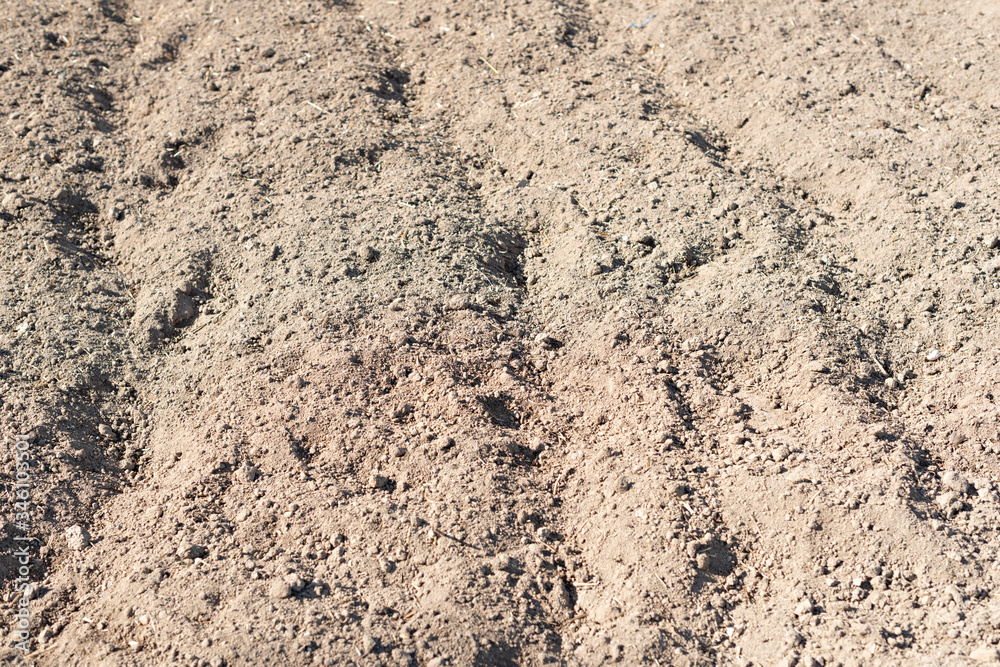 Preparing a ground with mesh to prevent weeds from growing and installing drip irrigation Preparing a ground with mesh to prevent weeds from growing and installing drip irrigation