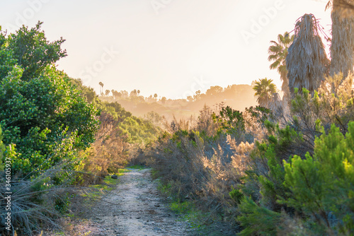 trail in the Navajo canyon in San Diego