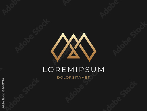 Flying Bird vector logo. Luxury bird, eagle, hawk, vector line logotype design. Universal premium falcon wing symbol logotype.