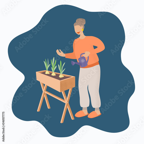 An elderly gray-haired woman pours with water onion growing in a box. The concept of home plant breeding. Hobbies and activities in quarantine and self-isolation. Stock vector illustration isolated.