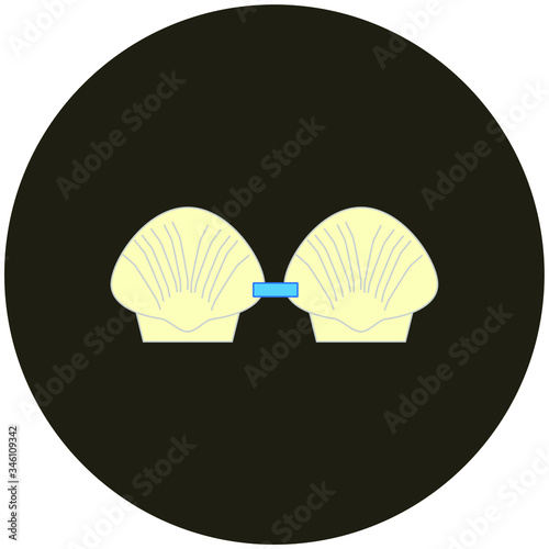 shell bra. illustration for web and mobile design.