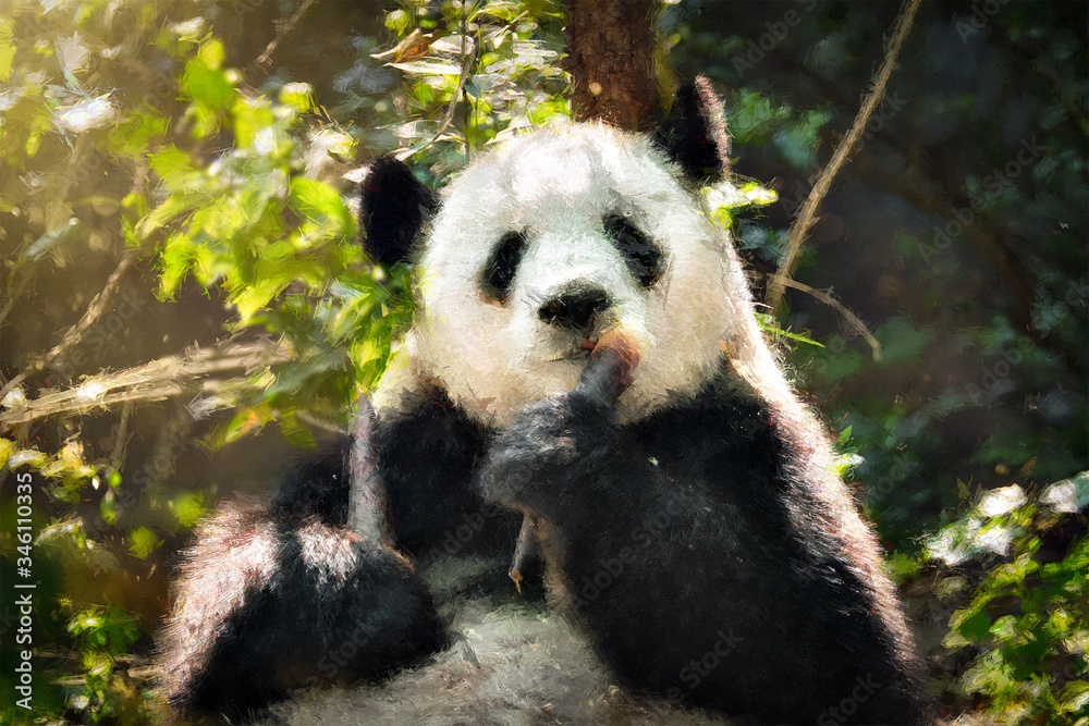 Obraz premium Oil painting of giant panda bear eating bamboo