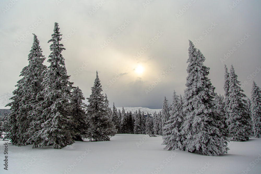 Obraz premium mountains winter sunset