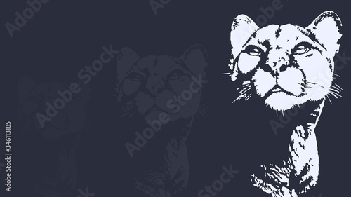 Panther walking from dark. vector Logo design