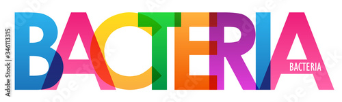 BACTERIA colorful vector typography banner