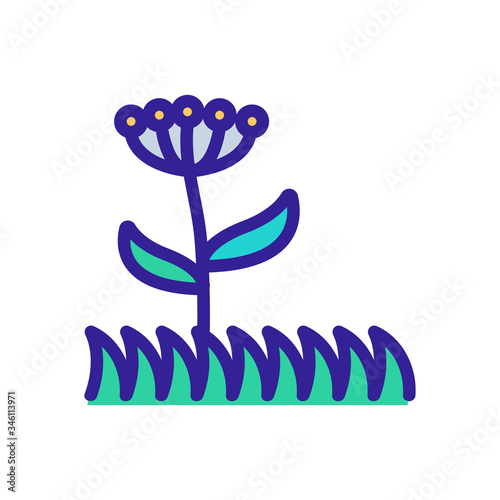 botanical field icon vector. botanical field sign. color symbol illustration photo