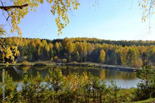 Bilde på lerret Autumn Siberian forest surrounds a pond, Kemerovo region