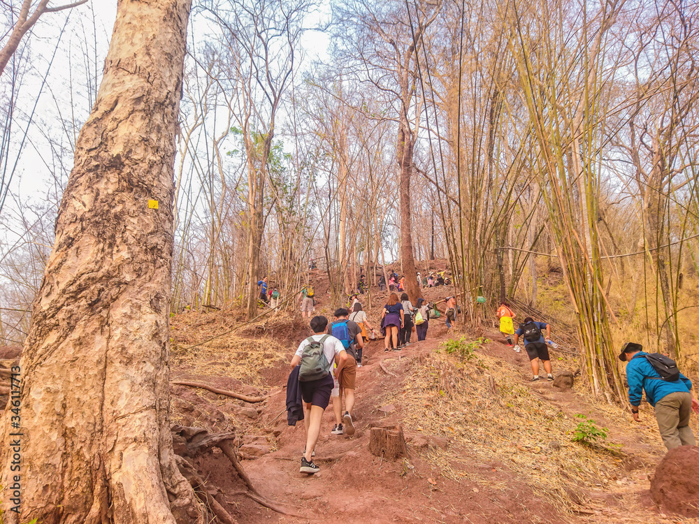Naklejka premium Unacquainted people Trekking to the top of the Phu Kradueng mountain national park in Loei City Thailand.Phu Kradueng mountain national park the famous Travel destination of Thailand