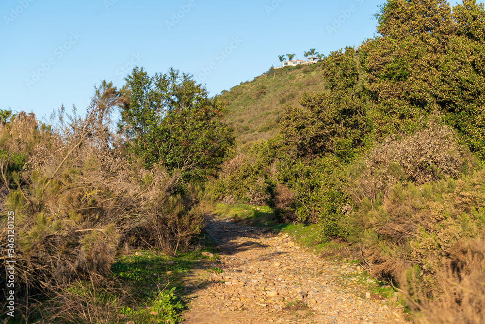 trail in the Navajo canyon in San Diego trail in the Navajo canyon in San Diego