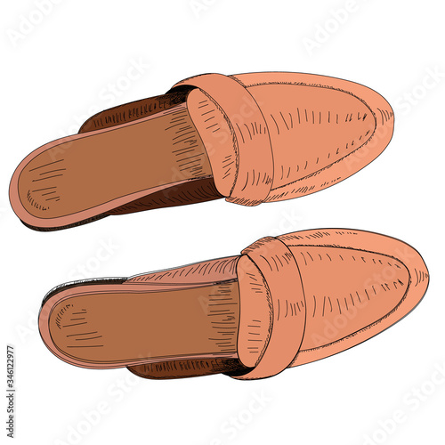 vector, white background, brown slippers