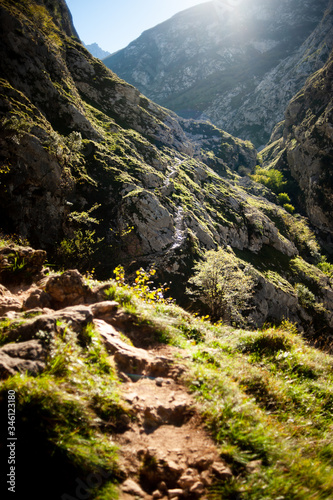 trail through the mountain in picos de europa