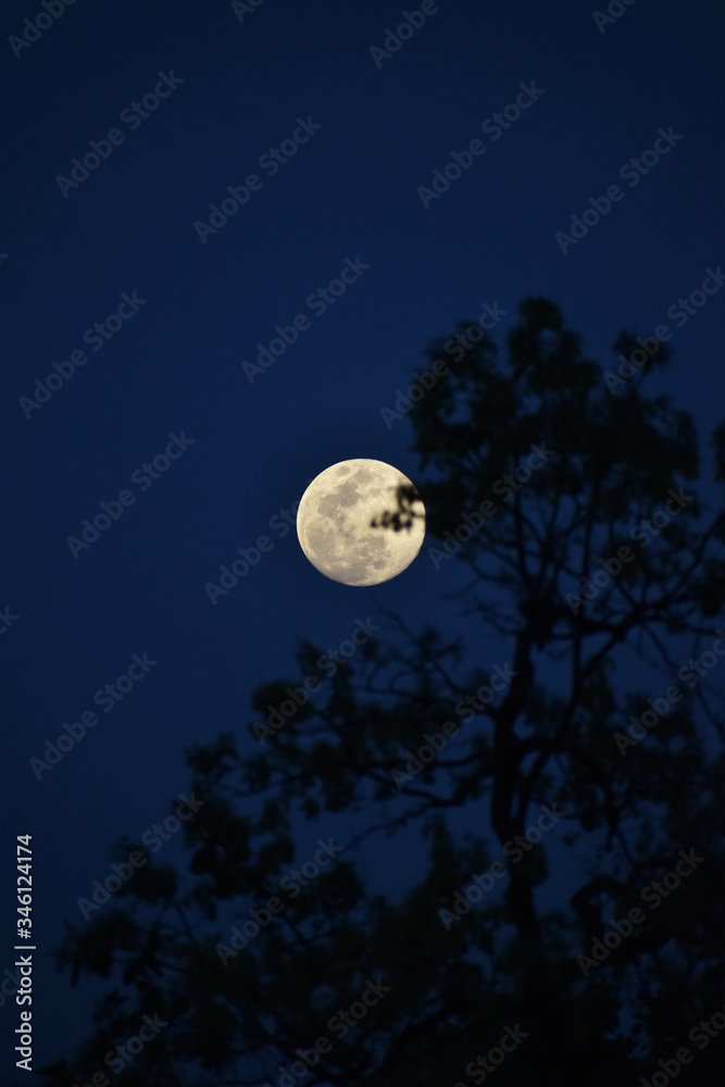Full moon illuminating his light at night ! Full moon illuminating his light at night !