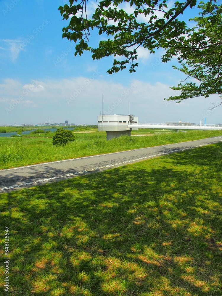 新緑の桜の影の映る江戸川土手から見る河川敷風景 Stock Photo Adobe Stock