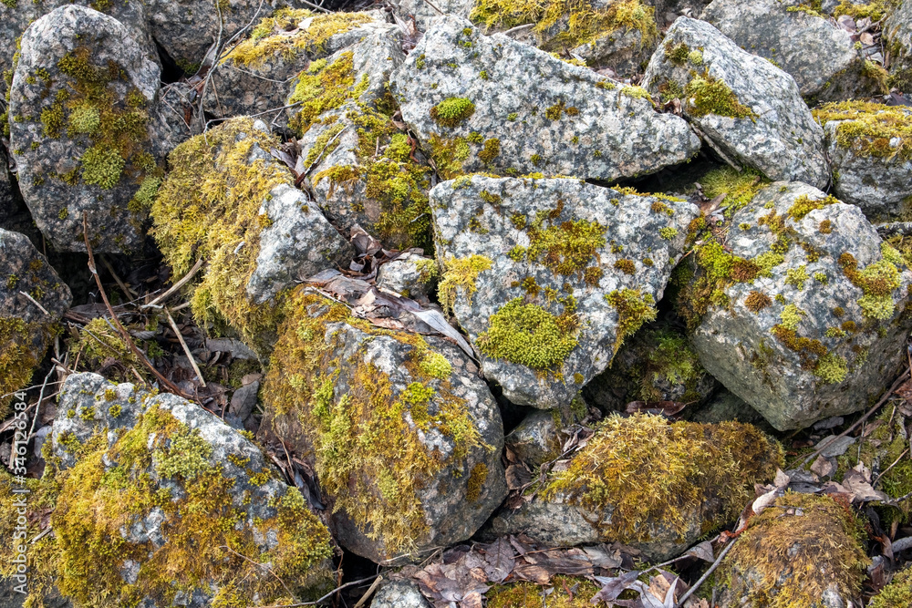 grey stones covered with green moss