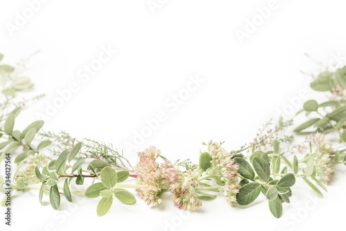 Beautiful and tender wreath frame with pink flowers, heath, branches and leaves on isolated white background. Backdrop for your design. Top view. Copy space.