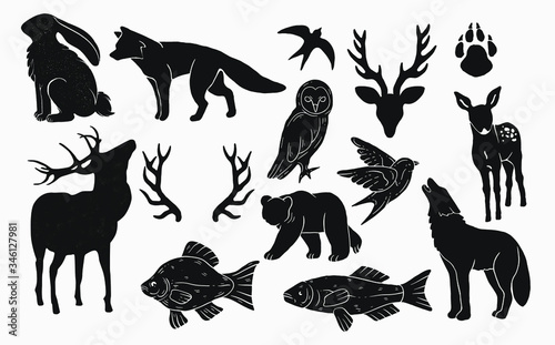 Fototapeta Naklejka Na Ścianę i Meble -  rustic nature icons , animals, wildlife, forest fauna. vintage artwork logo elements. bear, rabbit, deer antlers ,birds , owl and fishes. camping nature logo elements and resources for graphic design