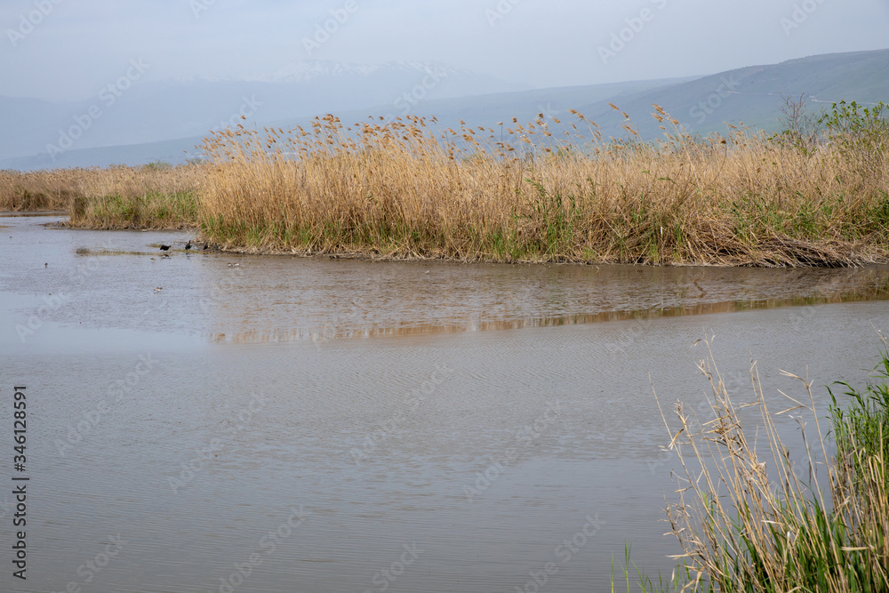 Agmon aHula - lake and nature reserve for birds Agmon aHula - lake and nature reserve for birds