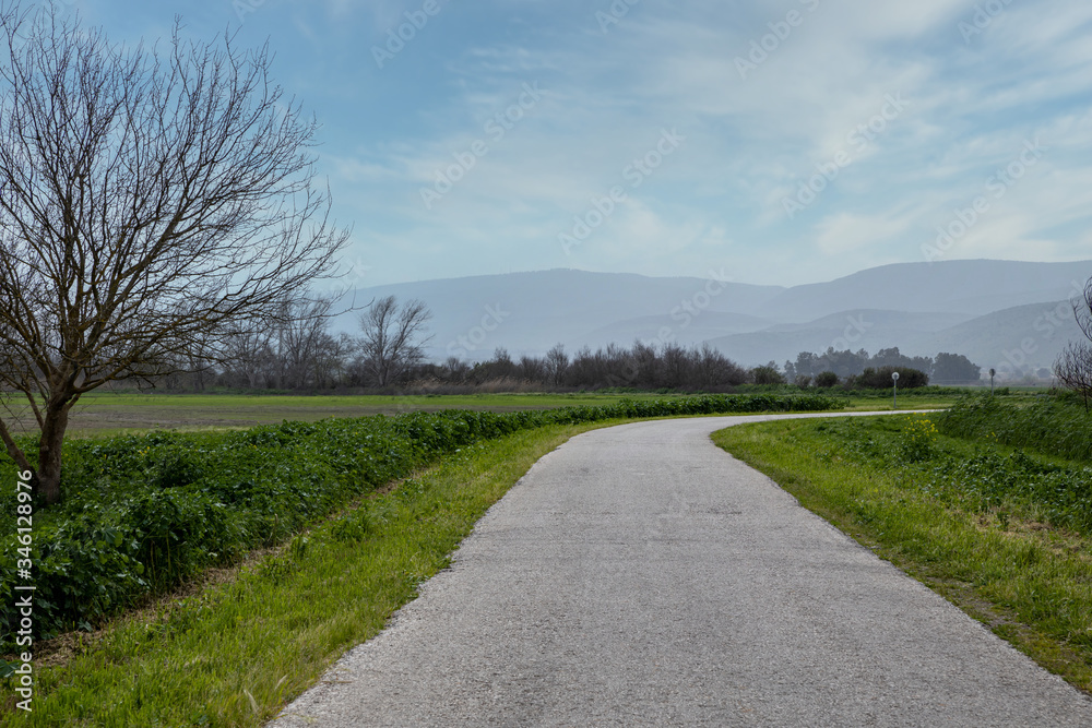 Road through the Hula Nature Reserve