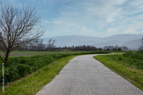 Road through the Hula Nature Reserve