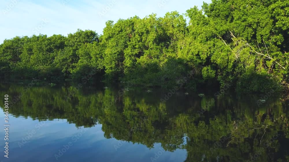 Visiting the Mangroves of La Tovara National Park. Ramsar Site, City of San Blas. Matanchen Bay, Pacific Ocean, Riviera Nayarit, Nayarit State, Mexico, Central America, America Visiting the Mangroves of La Tovara National Park. Ramsar Site, City of San Blas. Matanchen Bay, Pacific Ocean, Riviera Nayarit, Nayarit State, Mexico, Central America, America