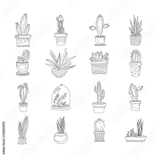 Cacti in pots set of icons in one line