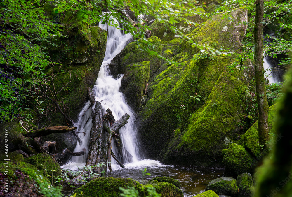 Obraz premium Beautiful panorama view of water fall landscape at green forest in the summer, Ghyll Force, Ambleside, Lake District National Park, UK