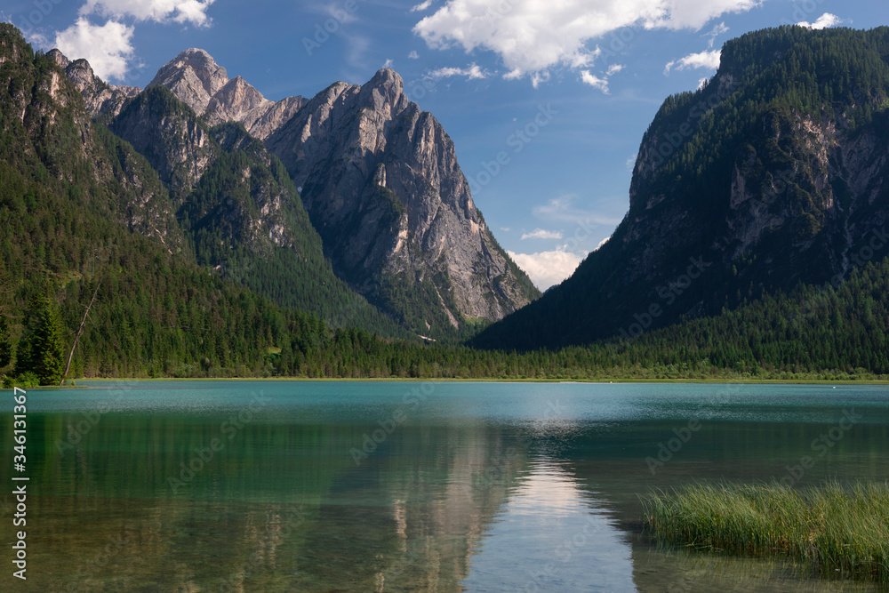 Lake Toblach with turquoise water and mountains of the Dolomite Alps during sunny summer day, green grass in the foreground, South Tyrol Italy.