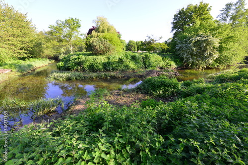 The River Mole early in the morning in Spring 2020.