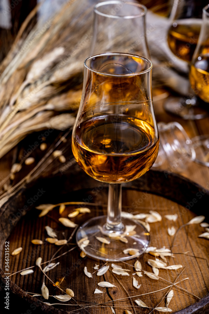 Tasting glasses with aged Scotch whisky or bourbon on old dark wooden vintage table with barley grains
