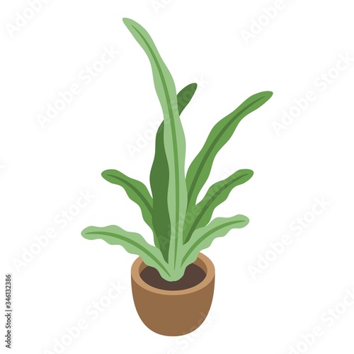 Pot plant icon. Isometric of pot plant vector icon for web design isolated on white background