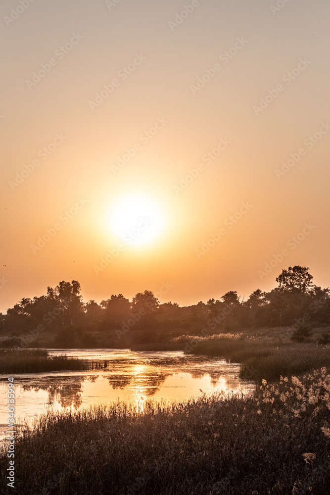 Obraz premium Lumbini sunset