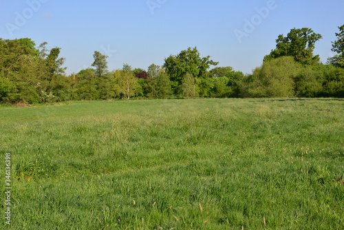 The English countryside in Spring 2020 