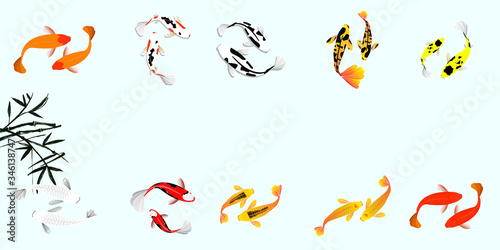 Koi fish vector illustration. Japanese carp and colorful oriental koi in Asia set of Chinese goldfish and traditional fishery. Isolated on blue background.