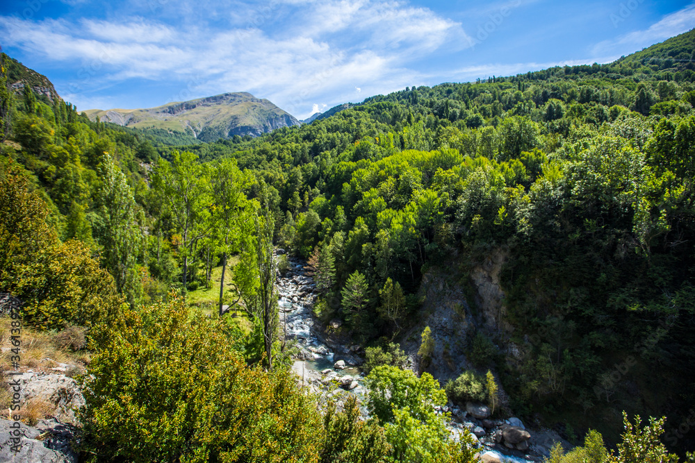 The Panticosa forest in the Pyrenees, Aragon. Spain