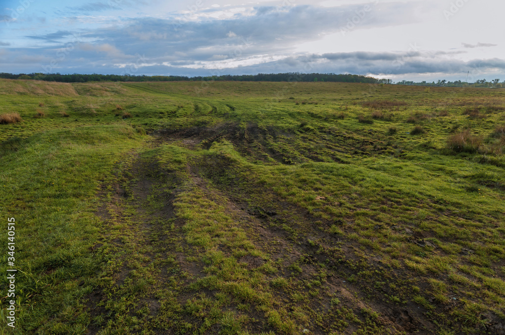 Fototapeta premium field in the village in sunny weather 
