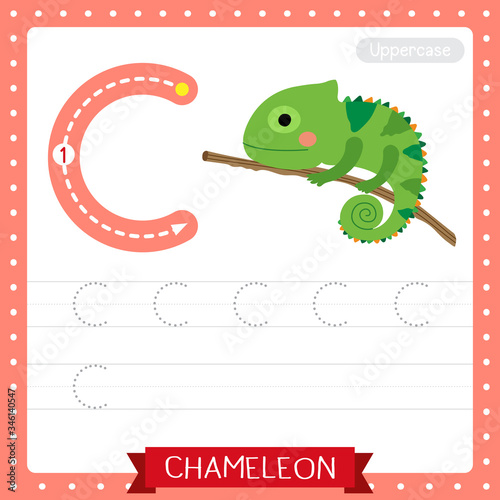 Letter C uppercase tracing practice worksheet. Green Chameleon