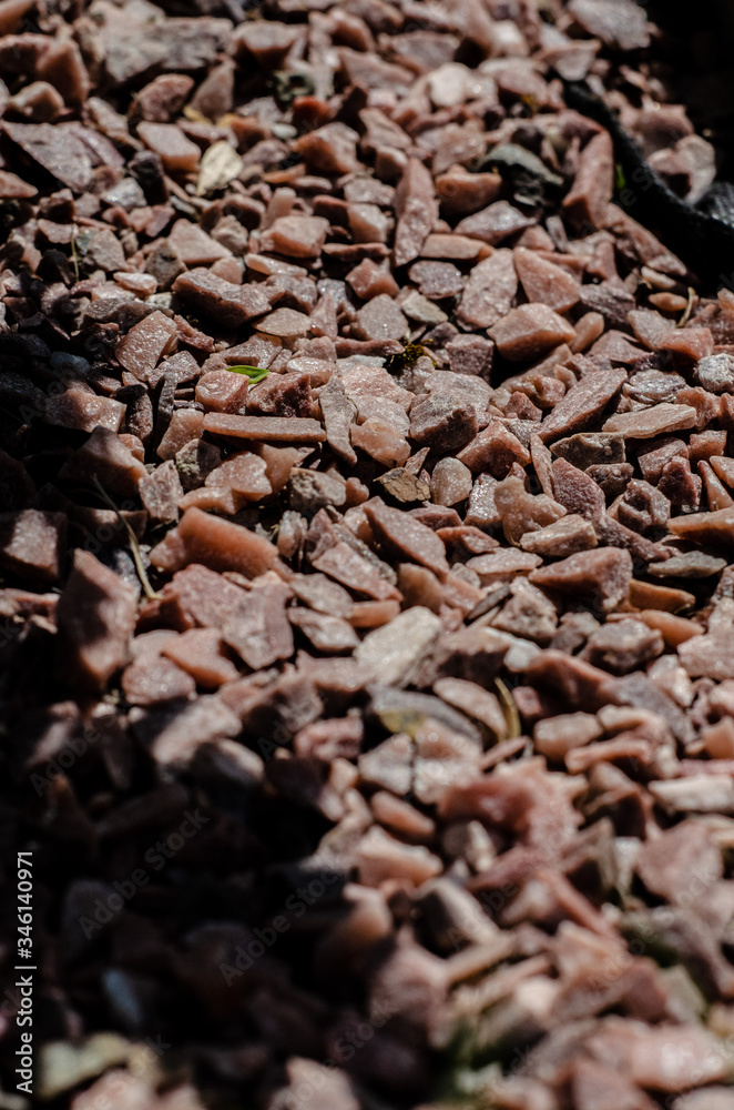 close up of brown rice