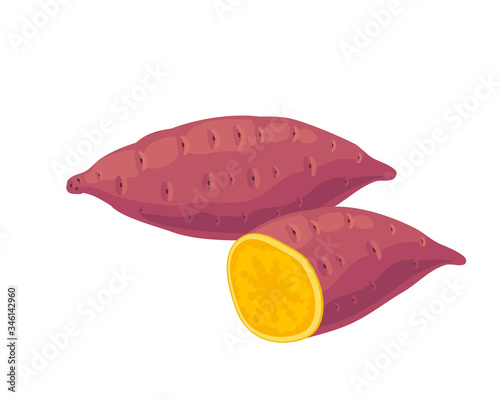 Sweet potato, purple whole tuber and half. Vector illustration cartoon flat icon isolated on pink.