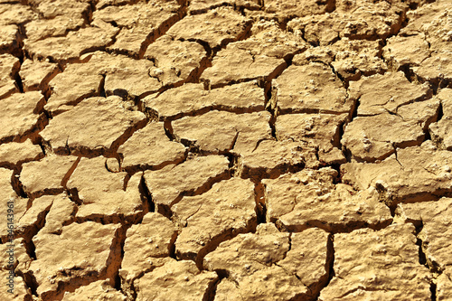 cracked clay ground into the dry season